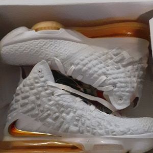 Nike lebron james 17 never worn